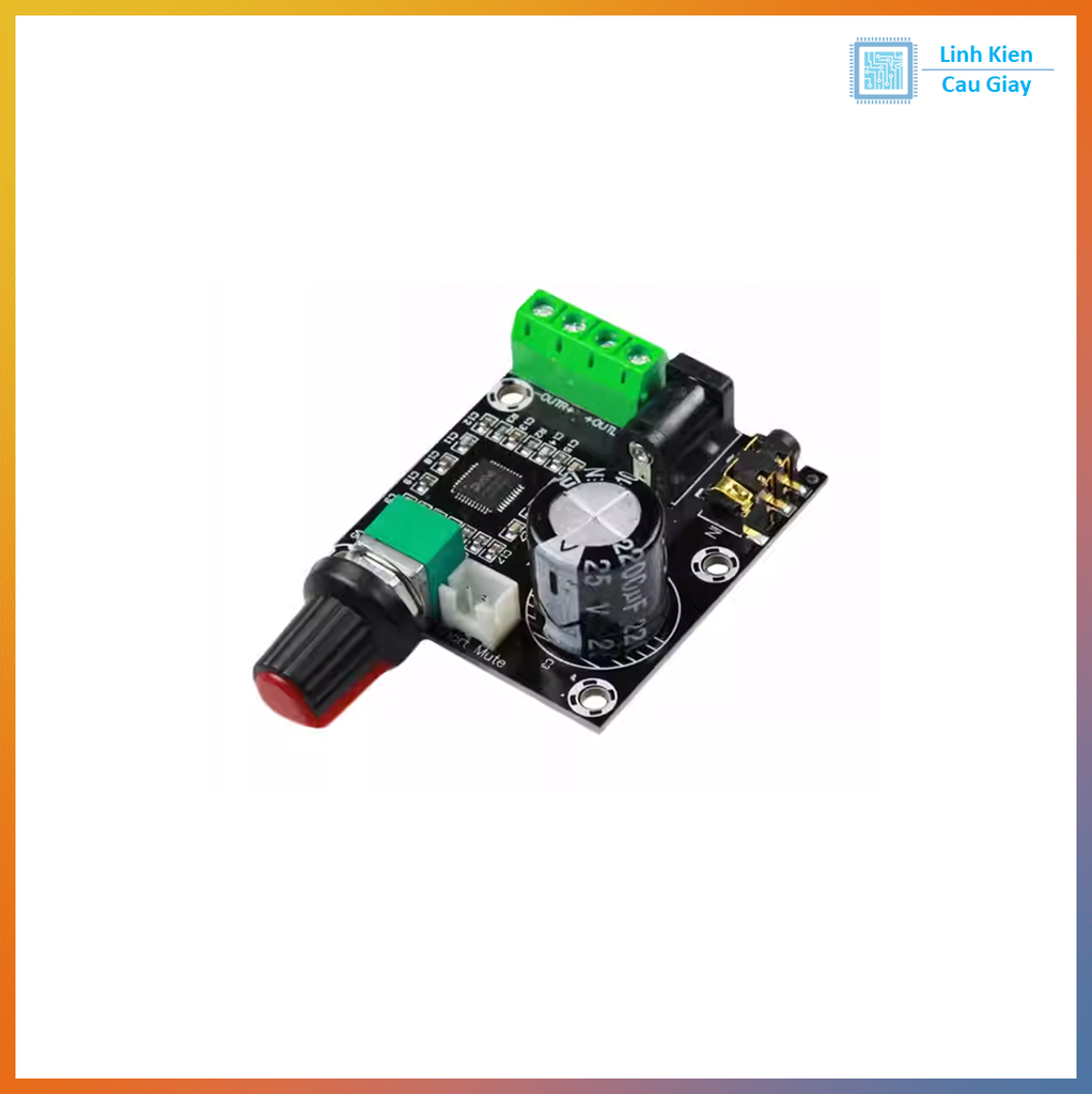 MODULE KHUẾCH ĐẠI ÂM THANH CLASSD 2X10W (PAM8610)