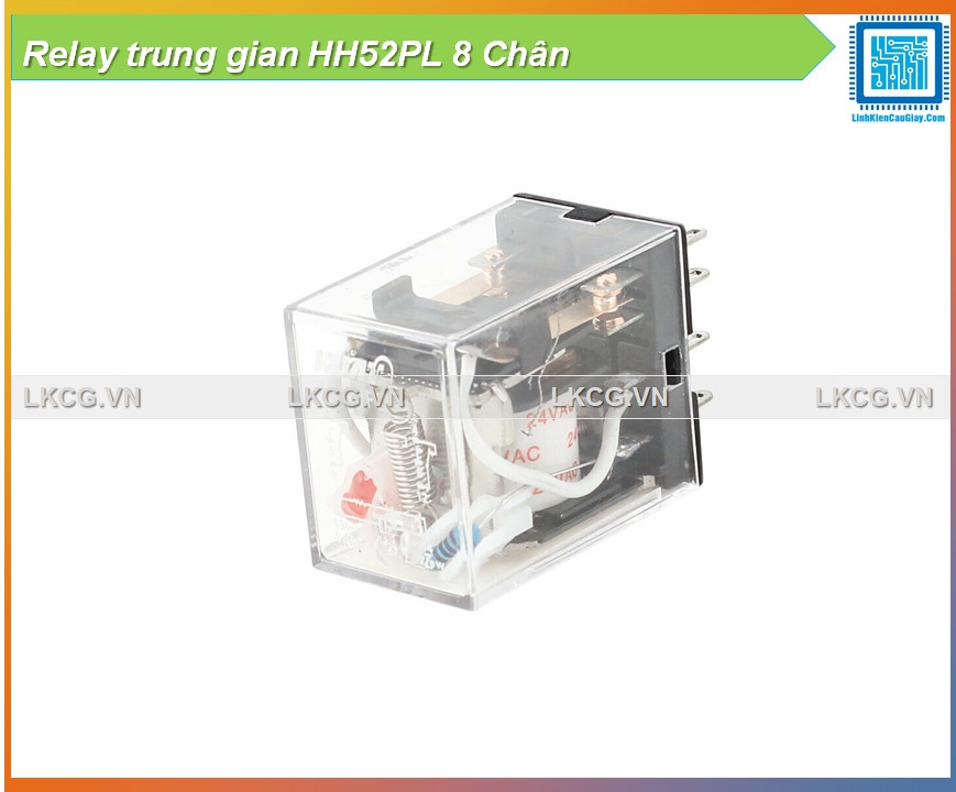 Relay trung gian HH52PL 8 Chân