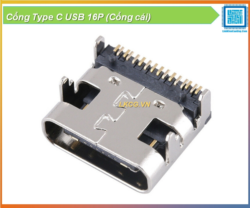 Cổng Type C USB (Cổng cái)