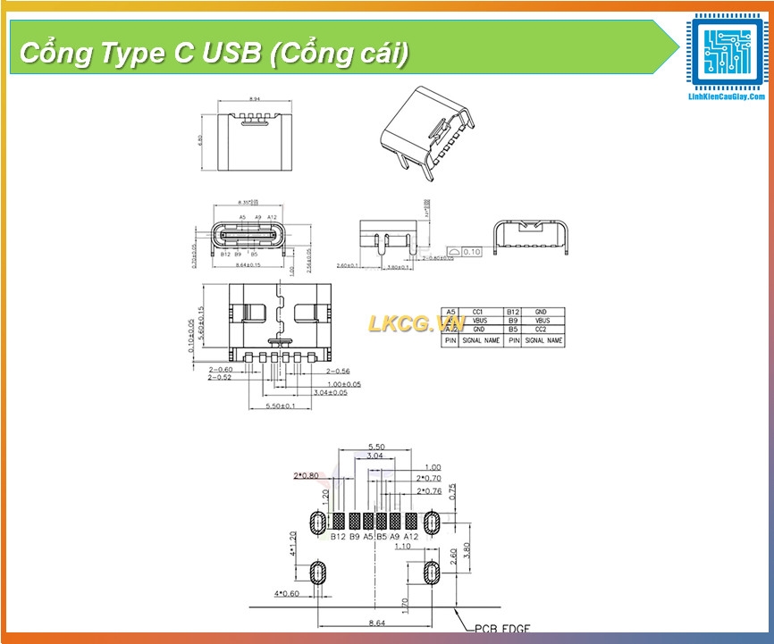 Cổng Type C USB (Cổng cái)