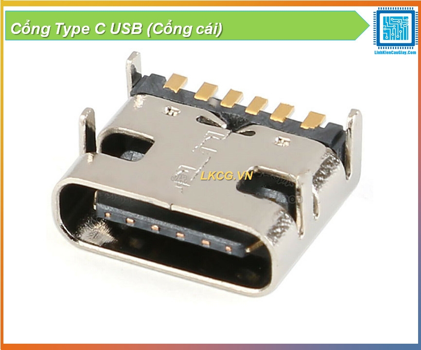 Cổng Type C USB (Cổng cái)