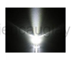 Led đơn 3mm các màu (SL: 10c)