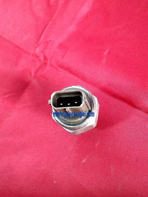 Cảm Biến Áp Ống Rail Isuzu Hitachi 4HK1, 6HK1 | 8-98119790-0, 8981197900, 8-97318684-0, 8973186840