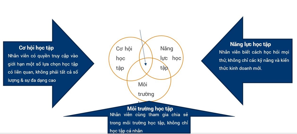 Tổng hợp 88 hình về mô hình văn hóa chất lượng  NEC