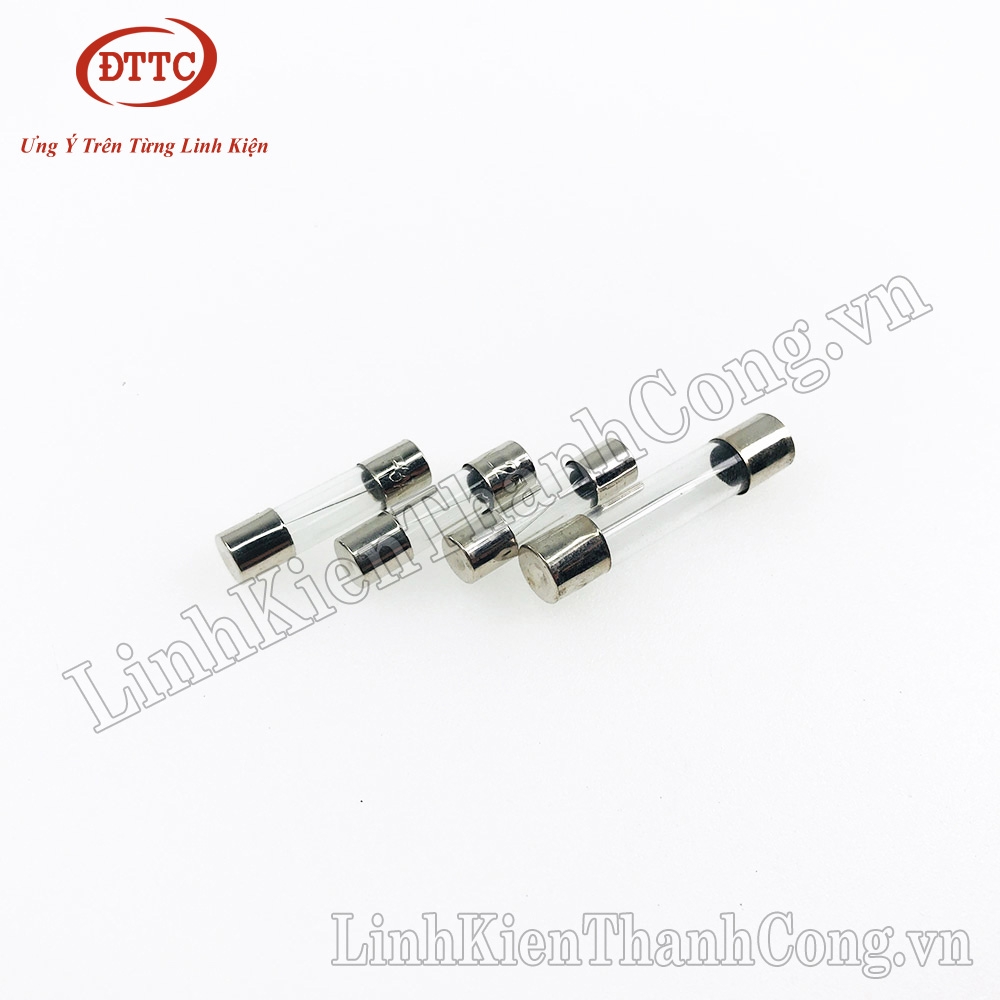 Cầu Chì 15A 250VAC 6x30mm