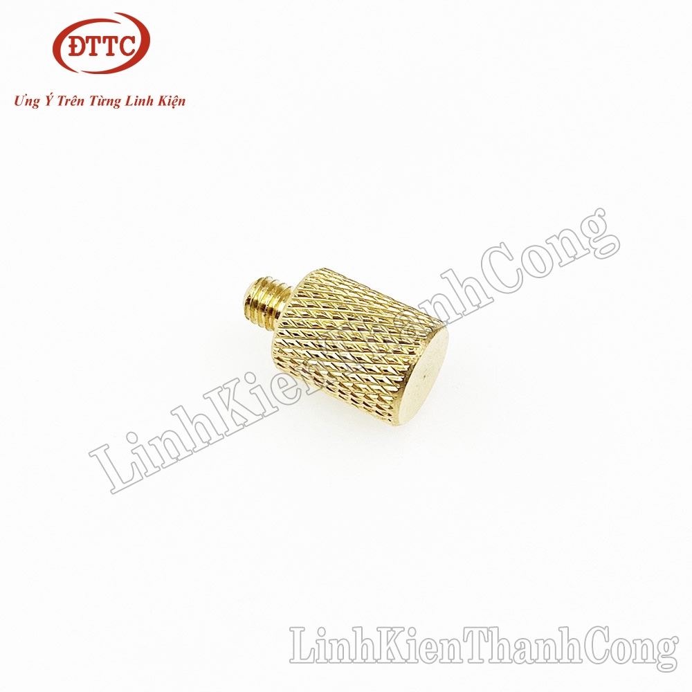 Cọc Đồng Bình Acquy Ren M6 Đực (1 Chiếc)