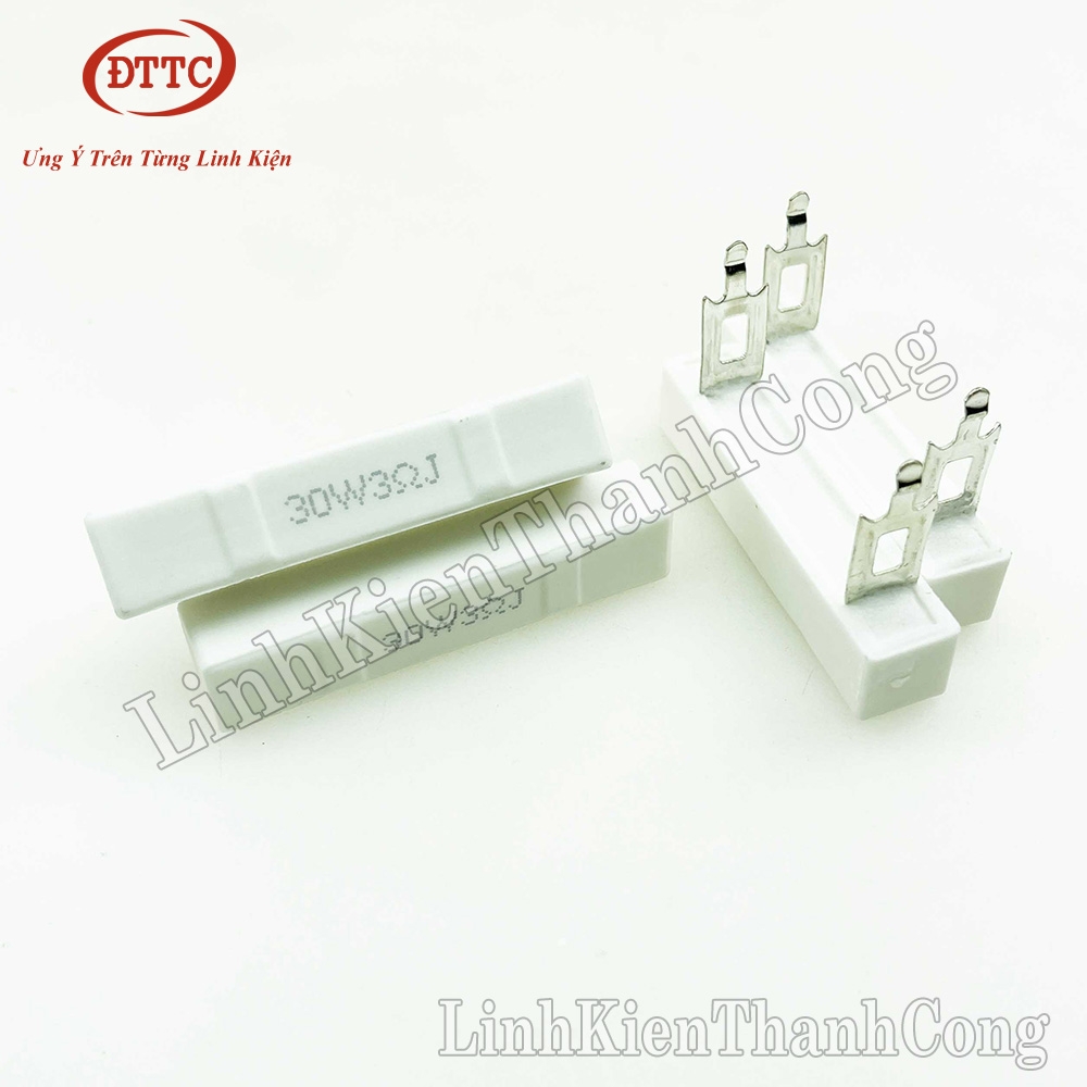 Điện Trở 3R 30W Chân Dẹt