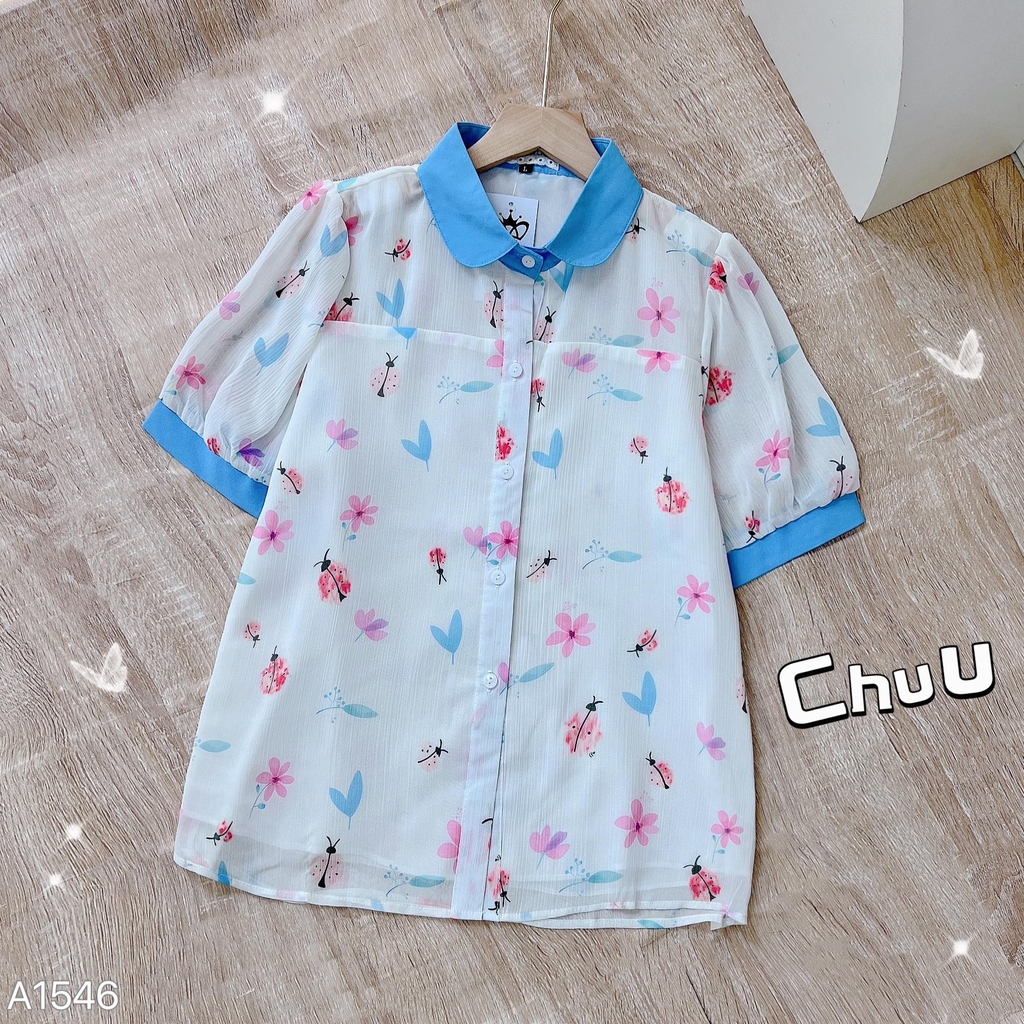 ASM Hoa Cổ Sen Màu