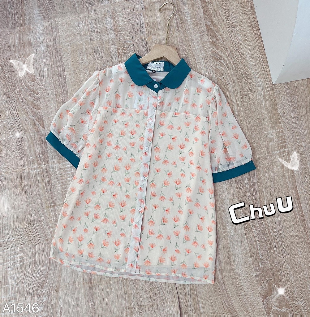 ASM Hoa Cổ Sen Màu