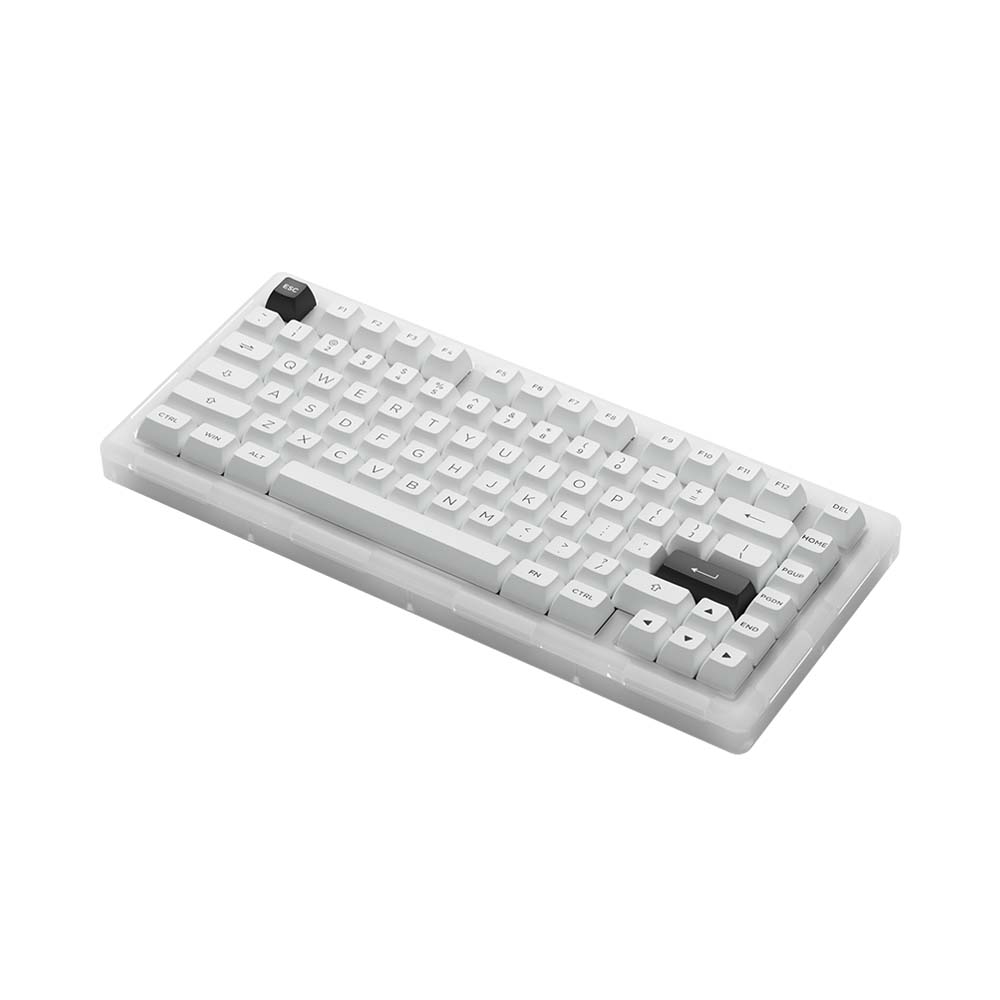 Bàn phím cơ AKKO ACR Pro 75 RGB Akko CS Crystal