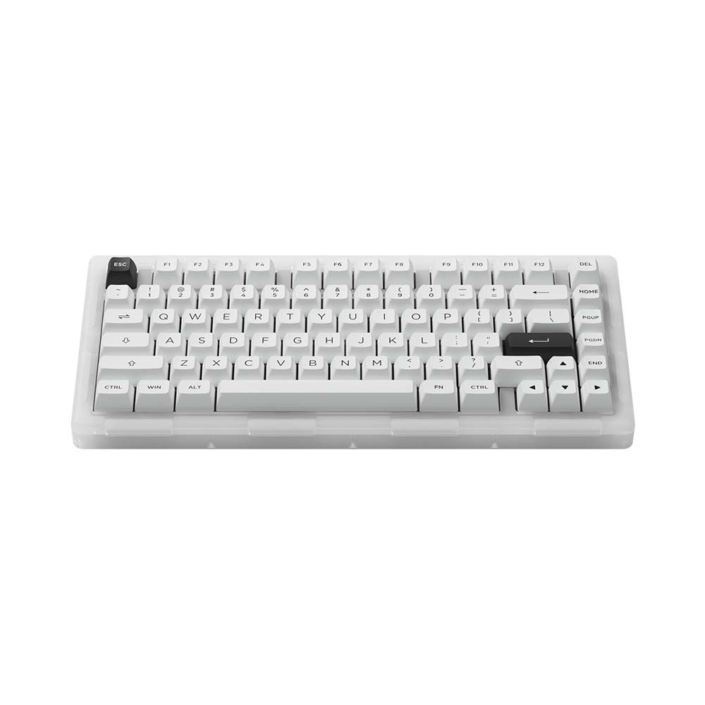 Bàn phím cơ AKKO ACR Pro 75 RGB Akko CS Crystal