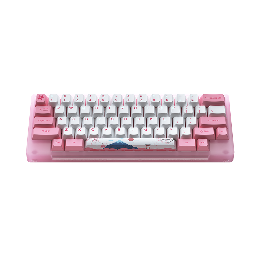 Bàn phím cơ AKKO ACR59 Pink RGB Akko CS Jelly Pink