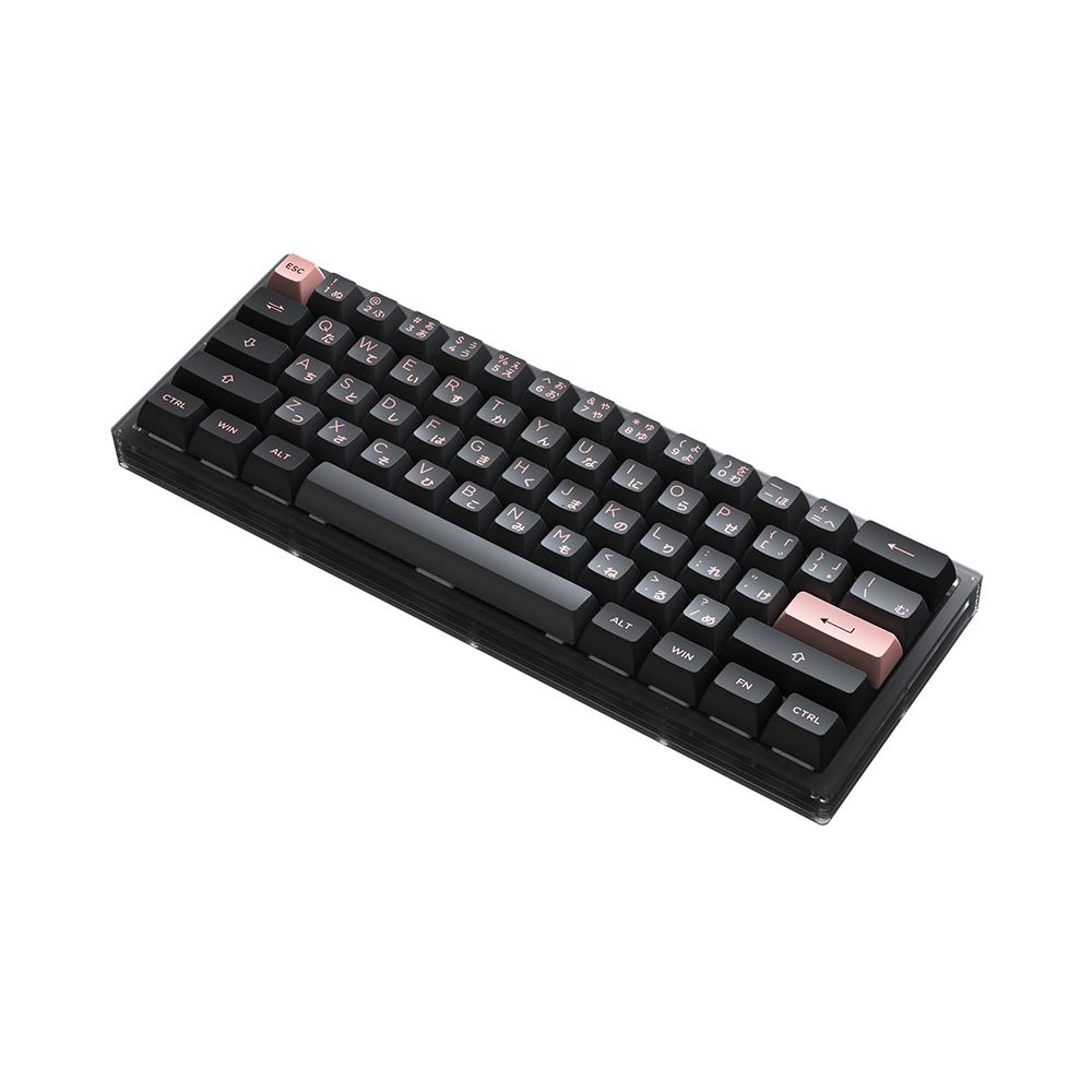 Bàn phím cơ AKKO ACR61 Black RGB Akko CS Jelly Black