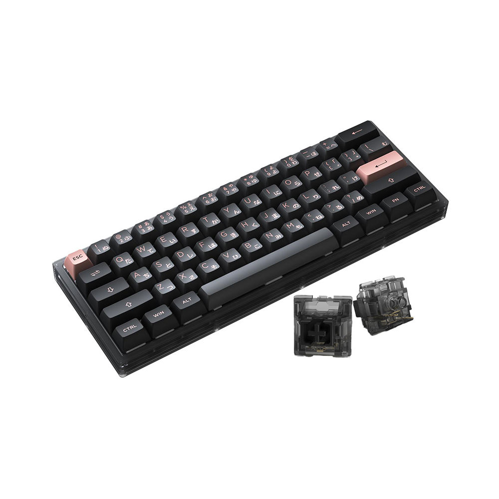 Bàn phím cơ AKKO ACR61 Black RGB Akko CS Jelly Black