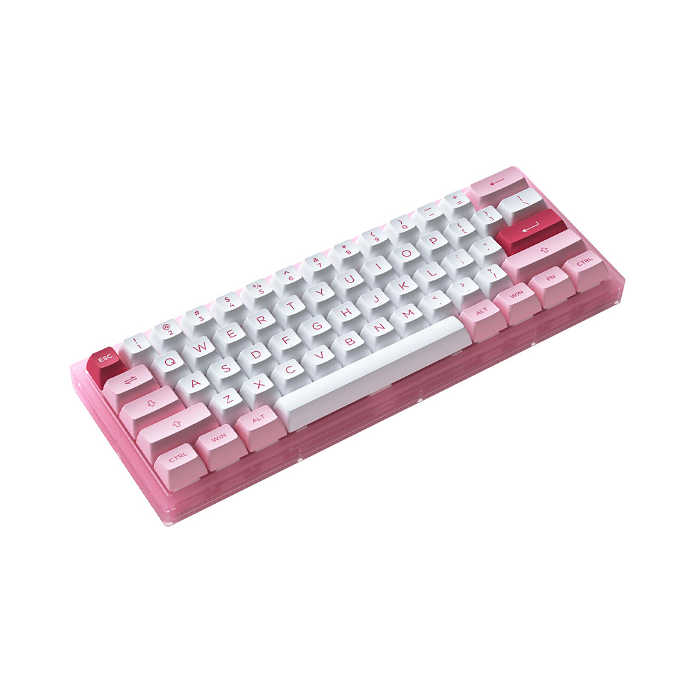 Bàn phím cơ AKKO ACR61 Pink RGB Akko CS Jelly Pink