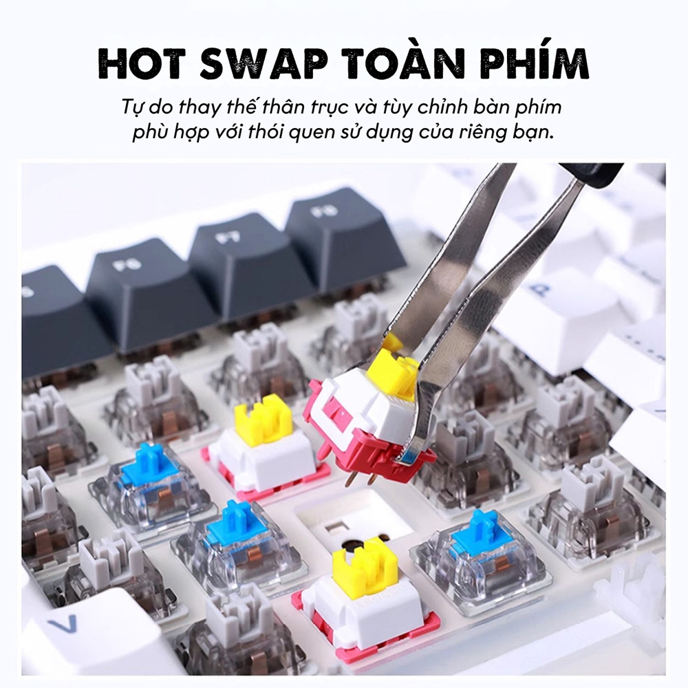 Bàn phím cơ AULA F87 RGB Hotswap (Leobog Sw)