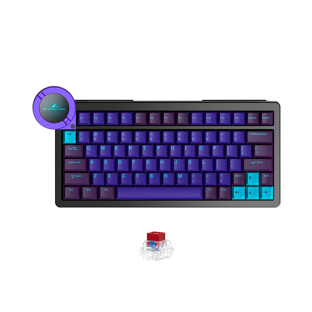 Bàn phím cơ Dry Studio Battleye 75 RT LCD RGB Hotswap 8K Rapid Trigger (Magnetic Sw)