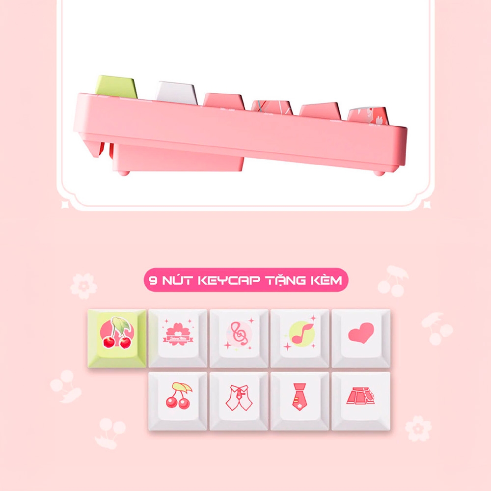 Bàn phím cơ không dây AKKO 5108B Plus Sakura Miku RGB Hotswap (AKKO Sw)