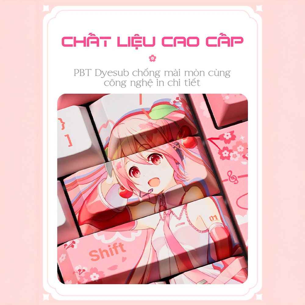 Bàn phím cơ không dây AKKO 5108B Plus Sakura Miku RGB Hotswap (AKKO Sw)