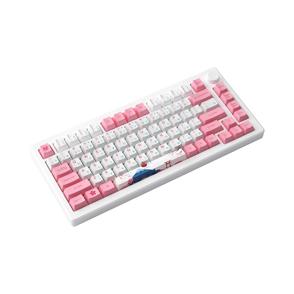 Bàn phím cơ không dây AKKO MOD007B-HE PC Tokyo Sakura Pink Hotswap (Magnetic Sw)