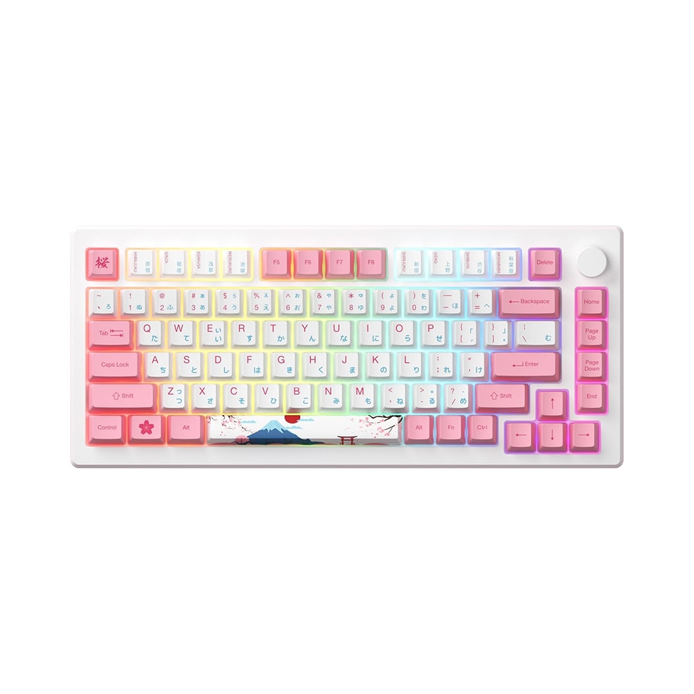 Bàn phím cơ không dây AKKO MOD007B-HE PC Tokyo Sakura Pink Hotswap (Magnetic Sw)