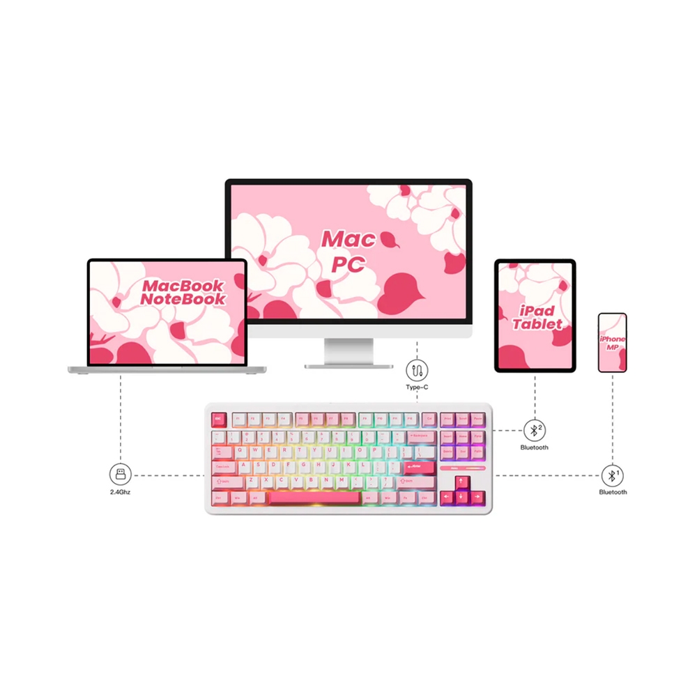 Bàn phím cơ không dây AKKO TAC87 Multi Mode RGB Hotswap (AKKO Sw)