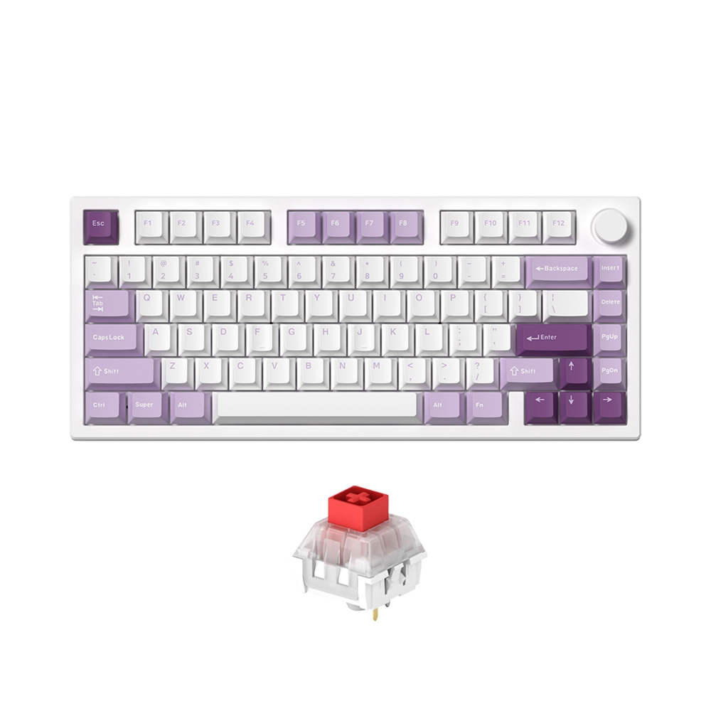 Bàn phím cơ không dây FL-Esports GP75 CPM Taro Purple 3 Mode Led RGB HotSwap Kailh Box Switch Red/Brown