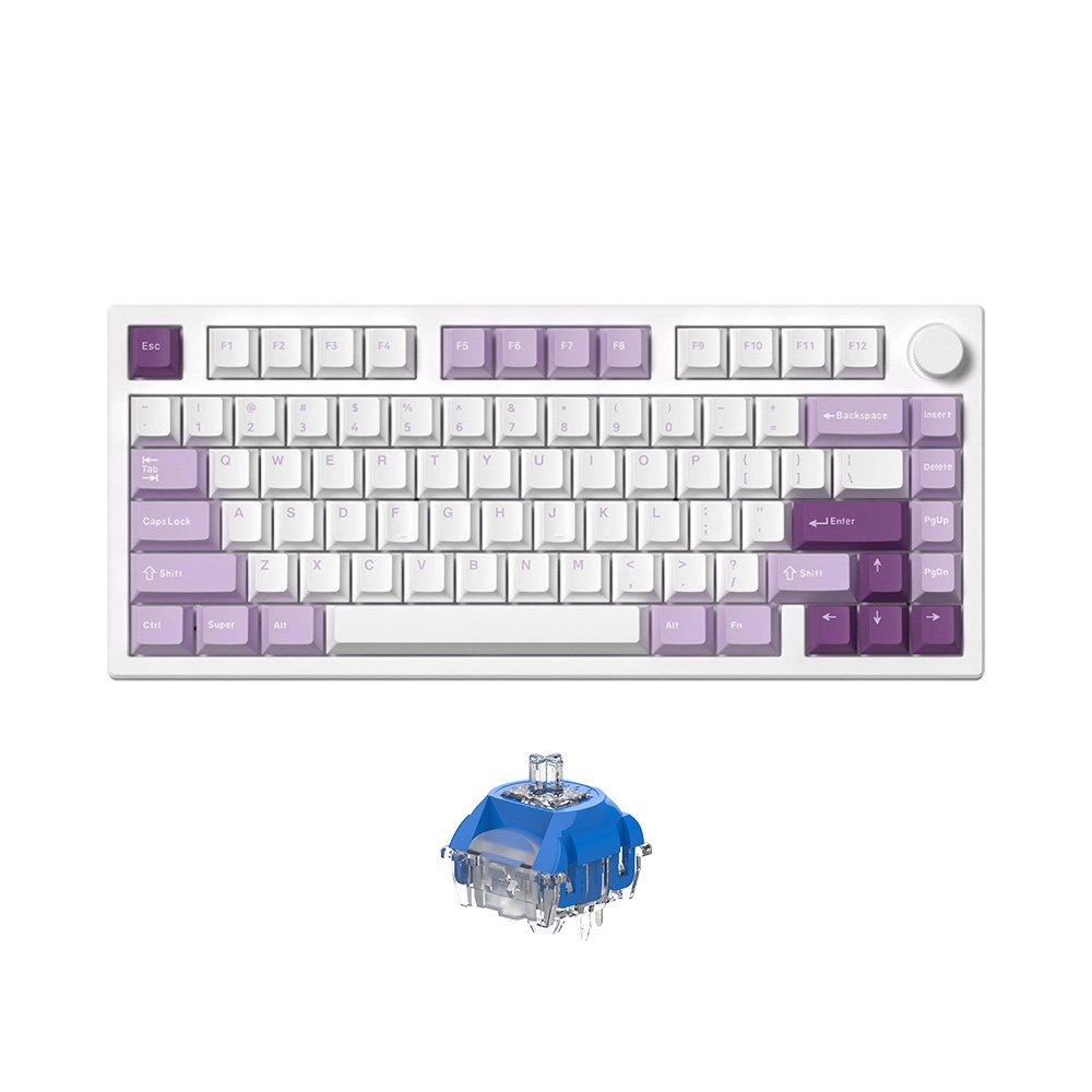 Bàn phím cơ không dây FL-Esports GP75 CPM Taro Purple 3 Mode Led RGB HotSwap TTC Switch Neptune/ Venus