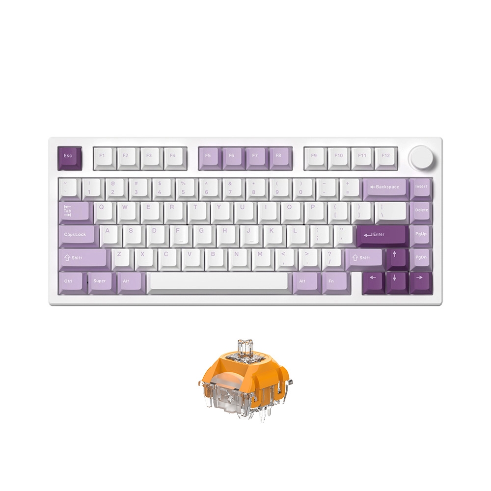 Bàn phím cơ không dây FL-Esports GP75 CPM Taro Purple 3 Mode Led RGB HotSwap TTC Switch Neptune/ Venus