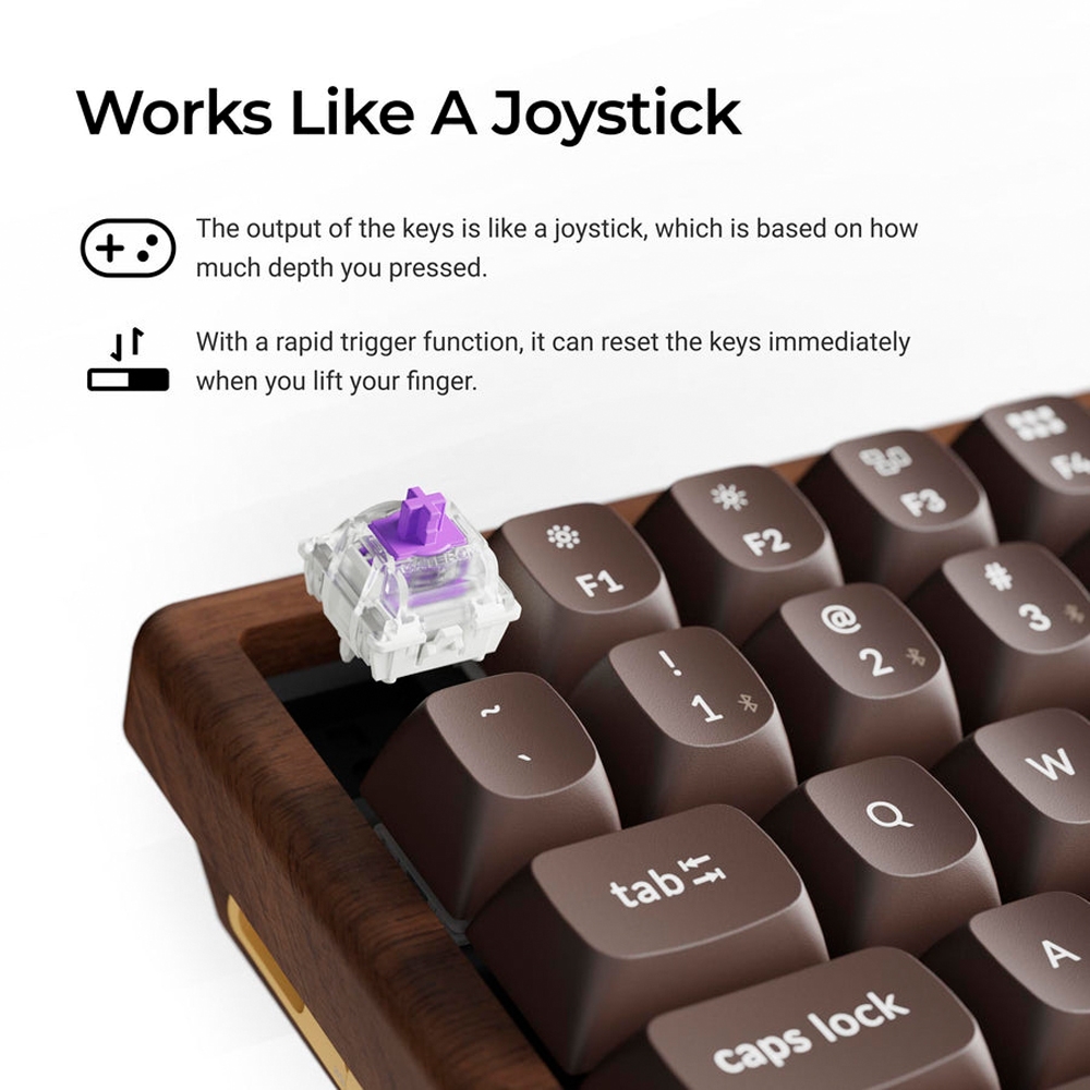 Bàn phím cơ không dây Keychron K2 HE All-Wood Special Edition RGB Hotswap Aluminum (Magnetic Sw)