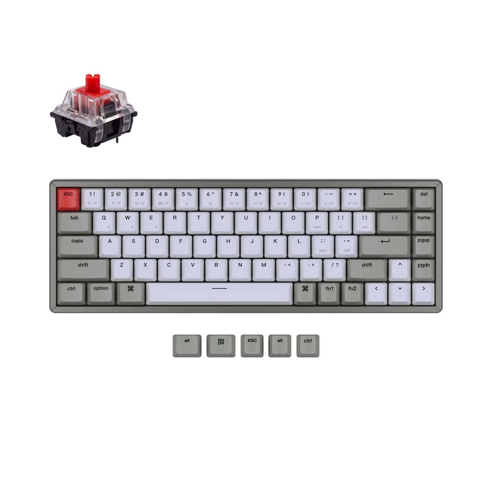 Bàn phím cơ không dây Keychron K6 Aluminum HotSwap Keychron Switch Red / Blue / Brown