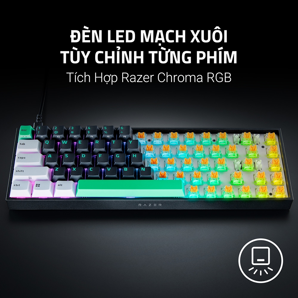 Bàn phím cơ Razer Reclusa X Mini 65% RZ03-05980100-R3M1