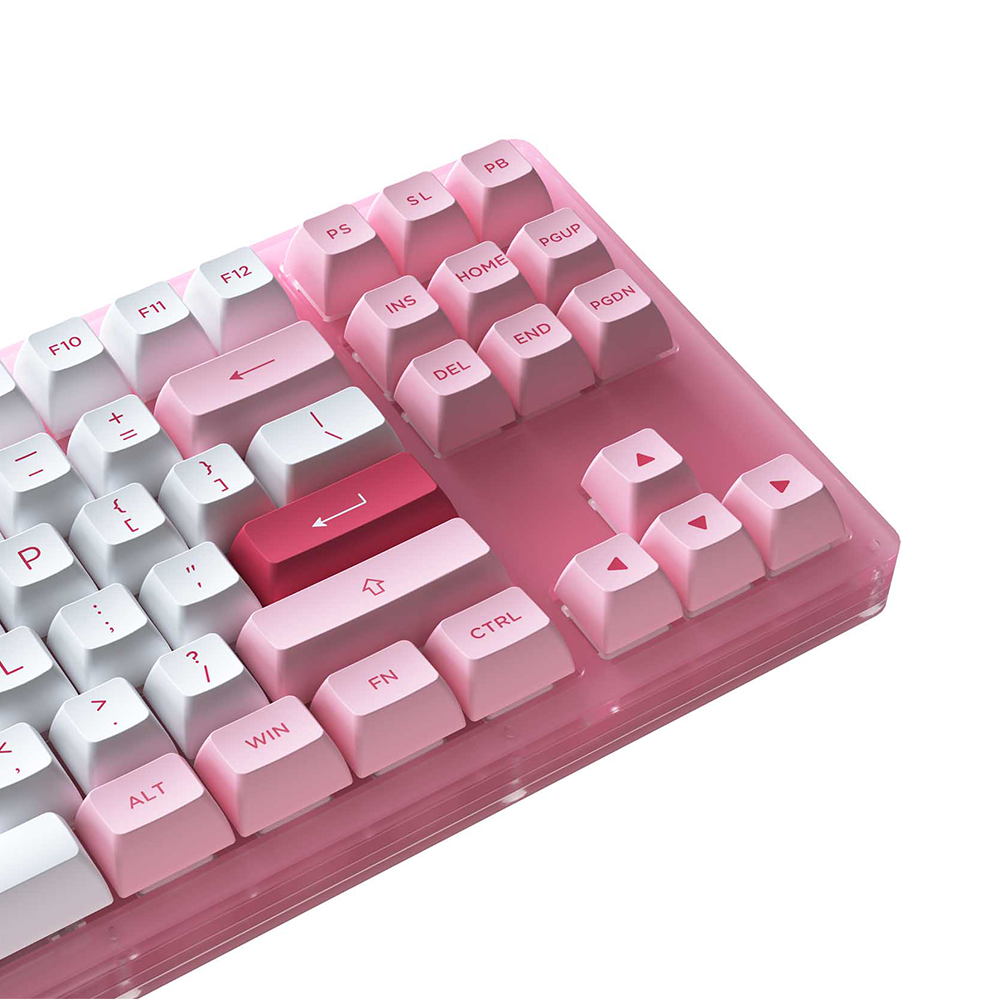 Bàn phím cơ TKL AKKO ACR87 Pink RGB Akko CS Jelly Pink