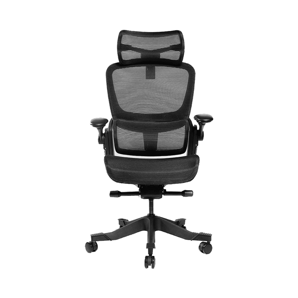 Ghế công thái học Epione Easy Chair