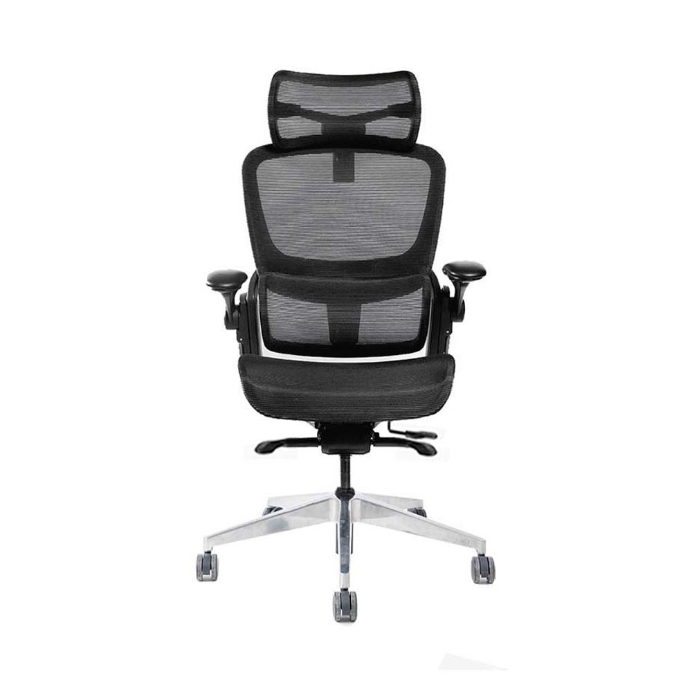 Ghế công thái học Epione Easy Chair SE