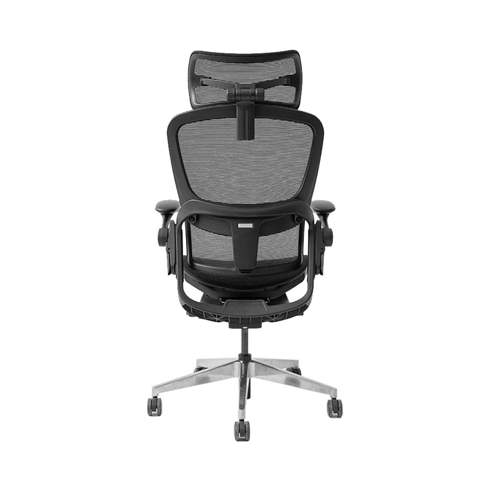 Ghế công thái học Epione Easy Chair SE