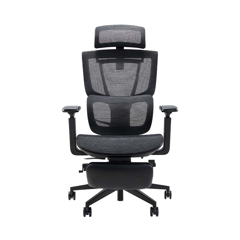 Ghế công thái học Epione ErgoChair Pro 2.0 (kèm kê chân)