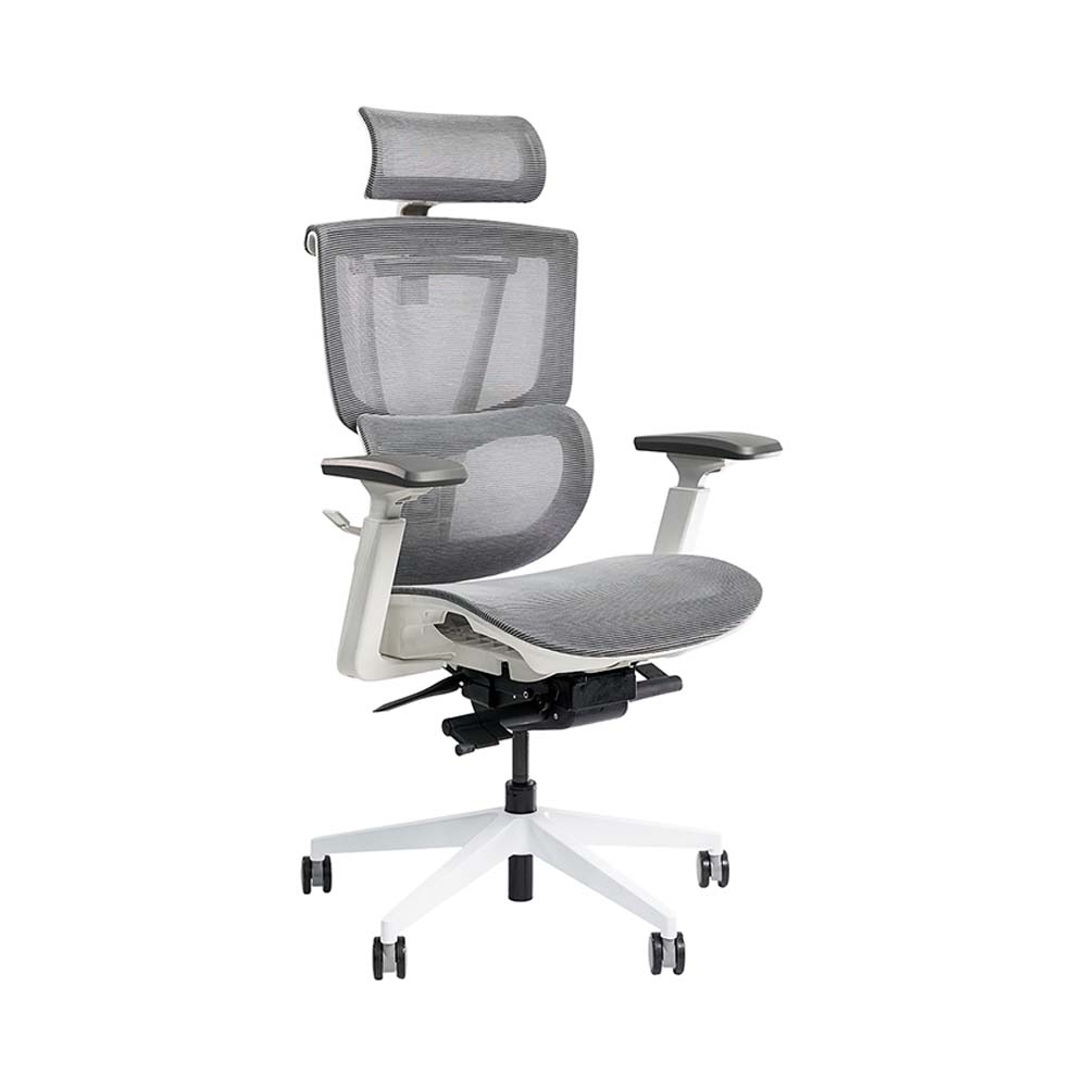 Ghế công thái học Epione ErgoChair Pro 2.0 (kèm kê chân)