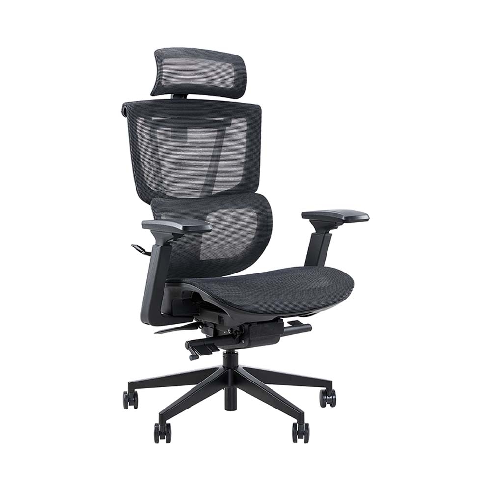 Ghế công thái học Epione ErgoChair Pro 2.0 (kèm kê chân)