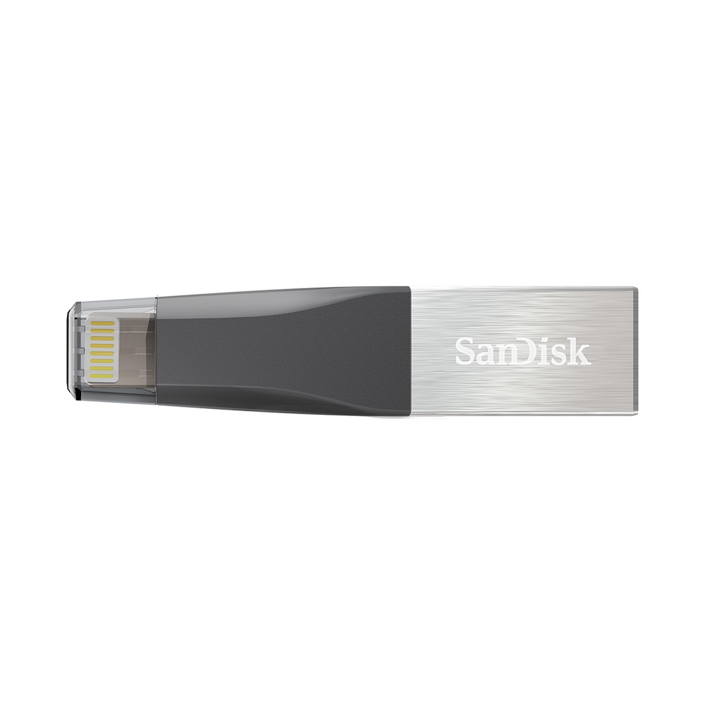 USB Sandisk iXpand Mini OTG for Iphone Ipad 256GB SDIX40N-256G-GN6NE