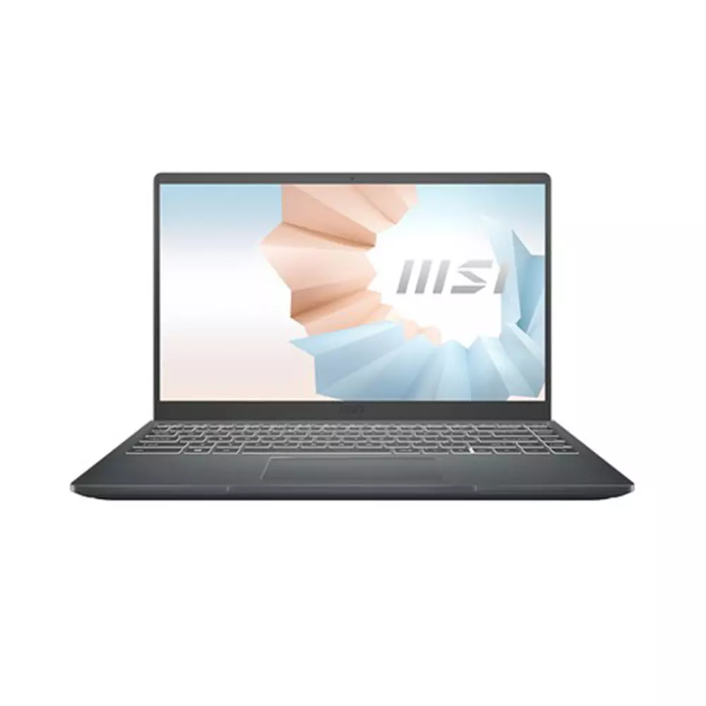 Laptop MSI Modern 14 B10MW-646VN (i5-10210U, UHD Graphics, Ram 8GB, SSD 512GB, 14 Inch IPS FHD)