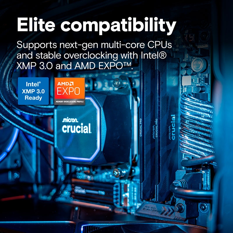 Ram PC Crucial Pro Overclocking 32GB 6400MHz DDR5 (2x16GB) CP2K16G64C32U5B