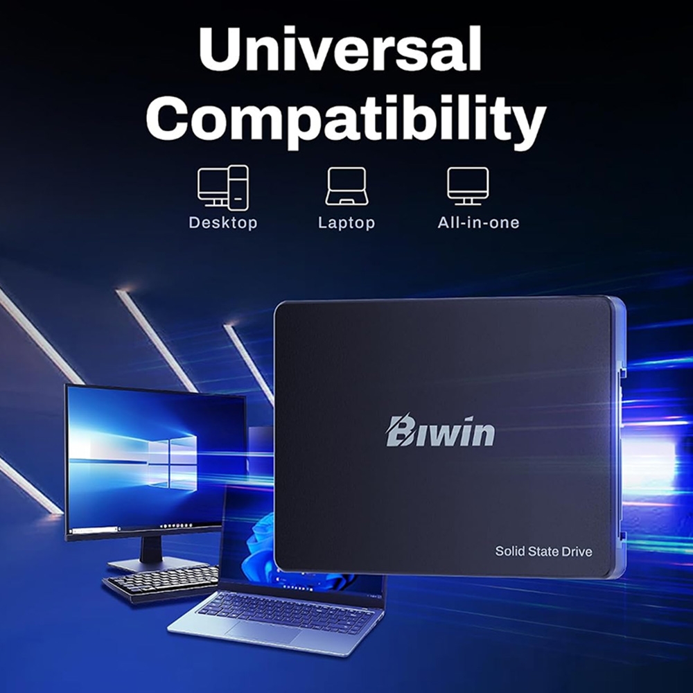 SSD Biwin M100 1TB 2.5-Inch SATA III BM100NN01TB-RGX