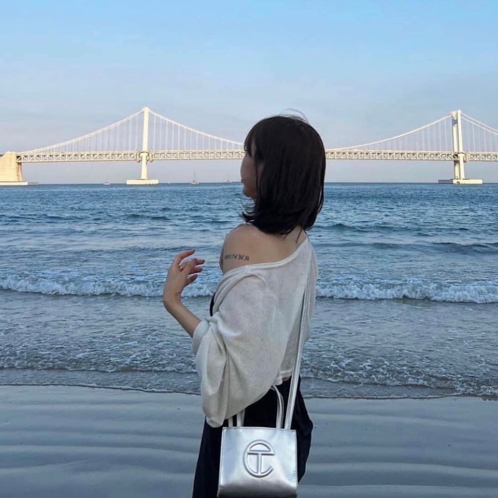 Telfa Shopping Bag - TF-012-SI-S