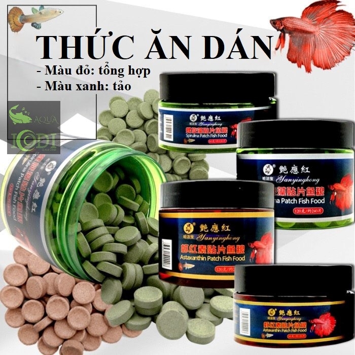 Thức ăn viên dán cho cá Astaxanthin & Spirulina Patch Fish Food ICDI