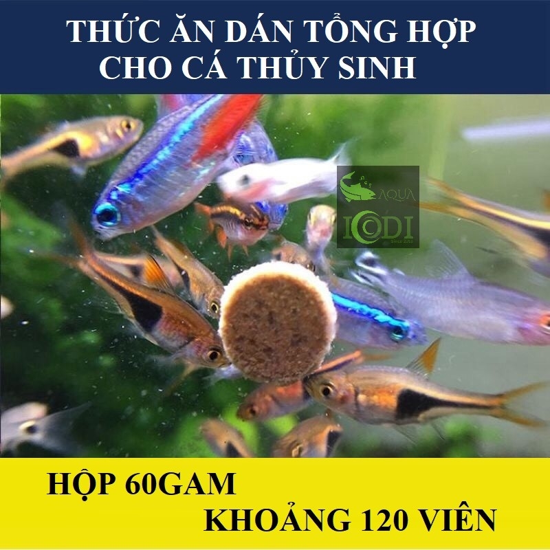 Thức ăn viên dán cho cá Astaxanthin & Spirulina Patch Fish Food ICDI