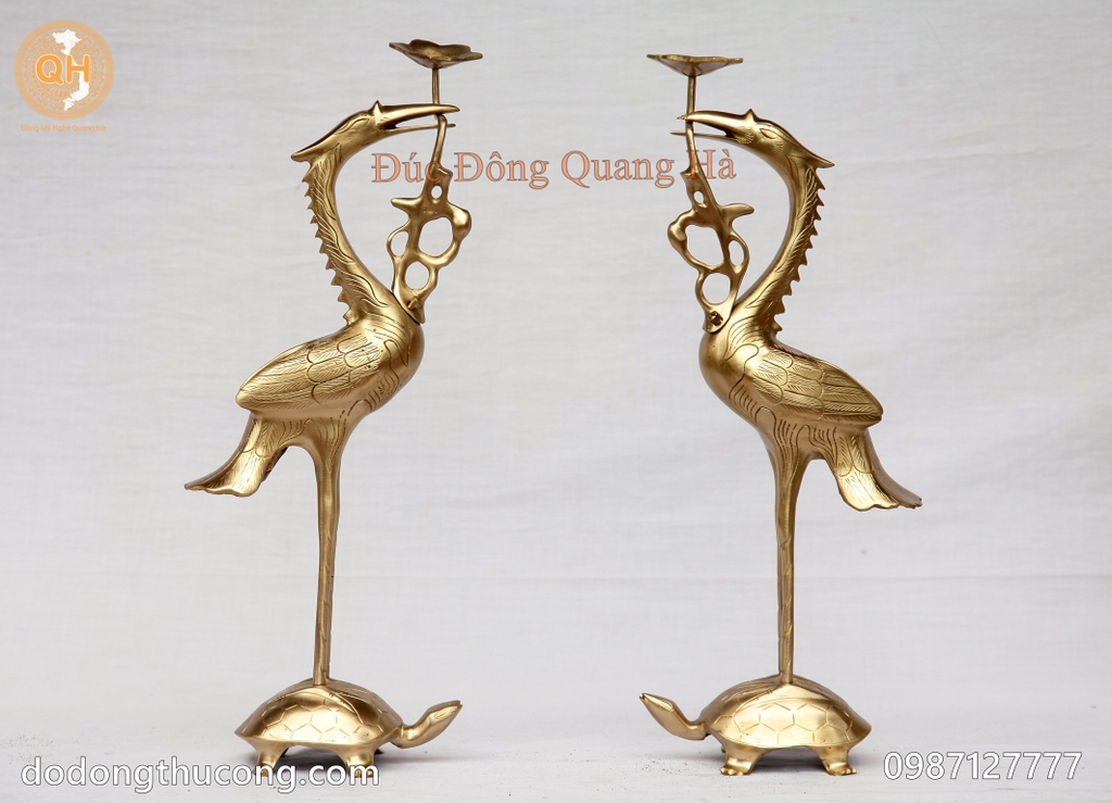 HẠC ĐỒNG VÀNG CATTUT CAO 50CM