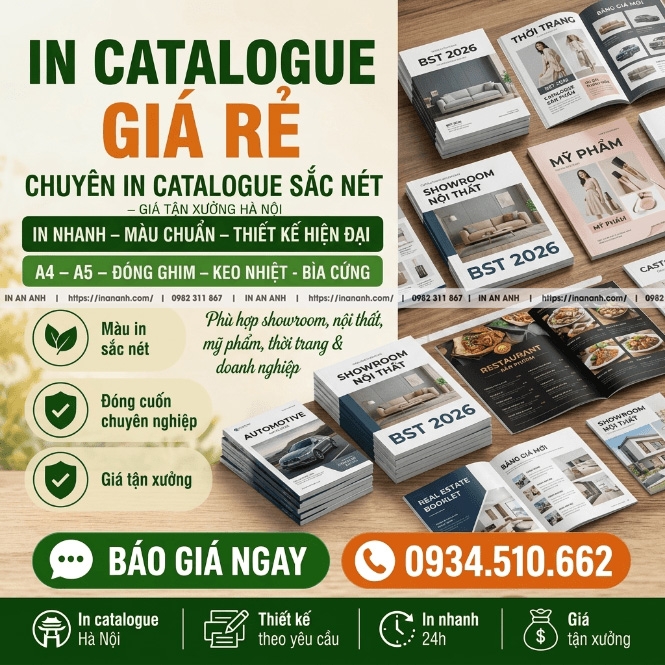 In Catalogue Giá Rẻ - Chuyên In Catalogue Sắc Nét, Giá Tận Xưởng Hà Nội