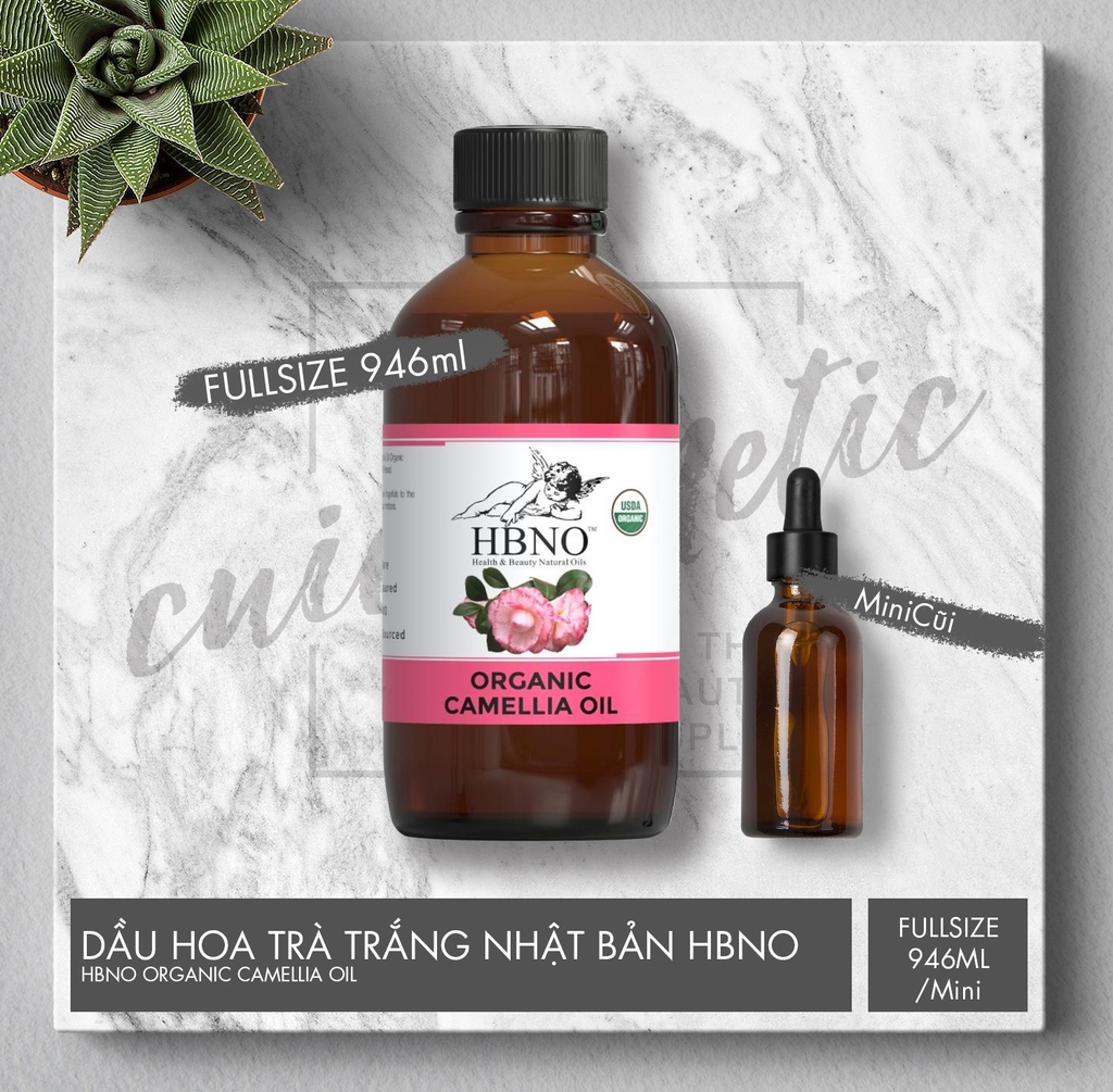 Dầu Hoa Trà HBNO - Camellia Oil Cũi Cosmetic