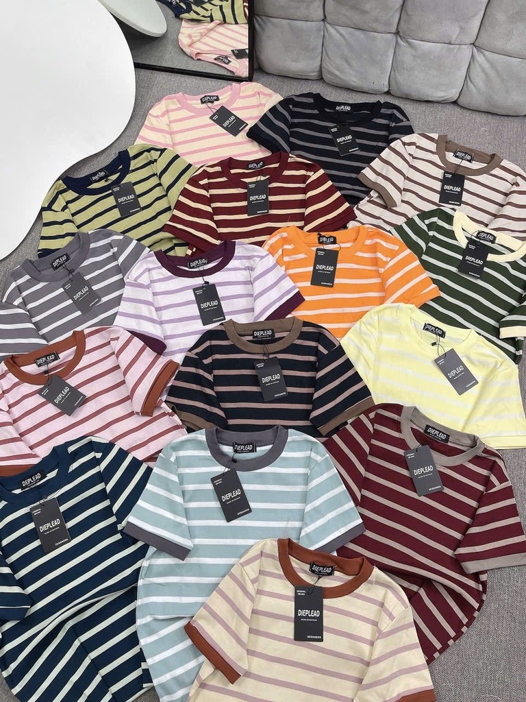 Áo thun sọc trơn - Form vừa